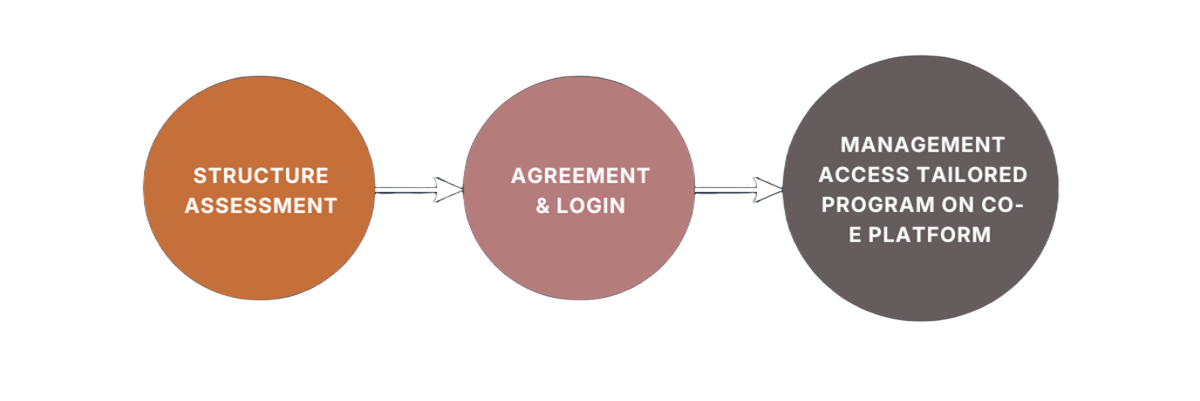Process for organizational designs and tailored programs